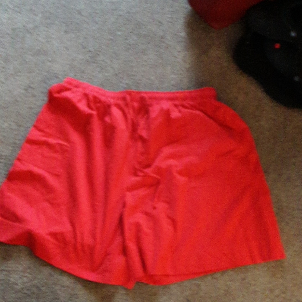Erika shorts NWOT